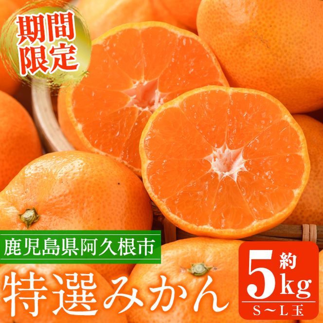 ＜先行予約受付中！2026年10月上旬以降順次発送予定＞ 数量限定！鹿児島県産 特選みかん(計約5kg) 国産 鹿児島県産 阿久根市産柑橘 果物 くだもの フルーツ 蜜柑 ミカン デザート 旬 数量限定 期間限定 手詰め 手詰【三笠農業生産】akn051-09