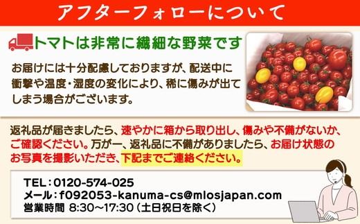 栃木県 鹿沼産 高糖度 フルーツトマト ”とまおとめ” アイコ 2kg | 野菜 トマト ミニトマト カキヌマファーム 濃厚 贈り物 新鮮 高糖度 リコピン ビタミン ダイエット 美容 健康 ※2025年12月下旬～2026年6月上旬頃に順次発送予定