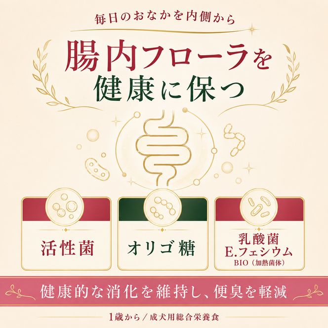 ビューティープロ ドッグ おなかの健康 1歳から 4.7kg ｘ1(ケース単位) ドッグフード