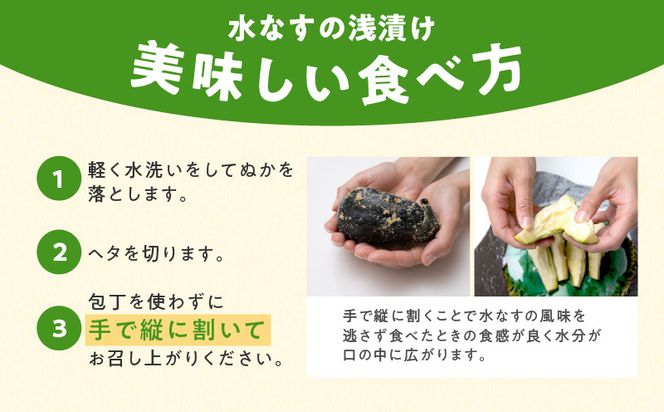 005A058 【先行予約】特選 無添加 水なす漬け 徳用水ナス セット【食べ比べ 新鮮 野菜 泉佐野産 茄子 やさい TONOファーム 高評価 数量限定】