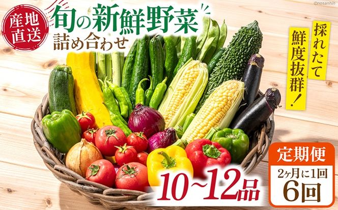 【6回定期便】2ヵ月に1回 新鮮 「旬の野菜・フルーツ」 詰め合わせ セット（10品〜12品）/ 野菜 定期便 やさい 定期便 野菜セット やさいセット 春野菜 夏野菜 秋野菜 冬野菜 旬新鮮 / 南島原市 /長崎県農産品流通合同会社[SCB096]