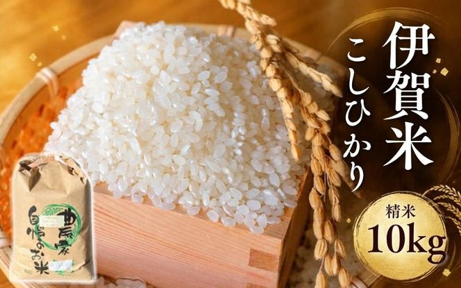 令和8年産伊賀米 こしひかり（白米）約10kg【cook0057】