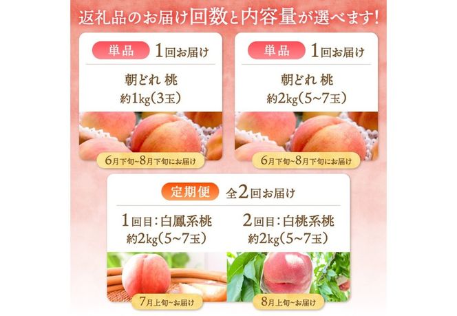【2025年先行予約】山梨の朝どれ桃 【単品 定期便 が選べる】 もも 山梨県産桃 果物 くだもの 果物 フルーツ 山梨 富士吉田