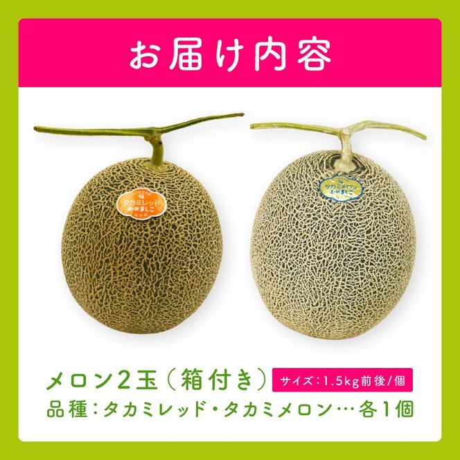 【先行予約】【数量限定】赤肉・青肉メロン食べ比べ2個セット｜タカミレッド＆タカミメロン｜高糖度・産地直送｜栃木県益子町 メロン プレゼント お中元 産地直送 赤肉 青肉　(AA045)