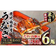 【0394344a-2607】＜土用の丑の日までにお届け＞東串良町のうなぎ蒲焼(無頭)(6尾・計約900g・タレ、山椒付) うなぎ 高級 ウナギ 鰻 国産 蒲焼 蒲焼き たれ 鹿児島 ふるさと 人気 丑の日 【アクアおおすみ】