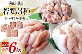鶏肉 詰め合わせ 宮崎県産 若鶏 むね肉 ささみ 手羽元 セット 各1kg 2p 計6kg [九州児湯フーズ 宮崎県 美郷町 31ai0022] 小分け むね 鶏むね肉 鶏むね 手羽 ササミ 冷凍 真空パック