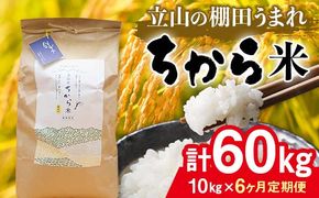 ＜定期便＞立山のちから米 令和7年産 コシヒカリ 各10kg ＜全6回＞ 計60kg 6ヶ月連続 10kg 定期便 定期配送 ちから米 こしひかり 銘柄米 ブランド米 国産 米 お米 日本米 F6T-916