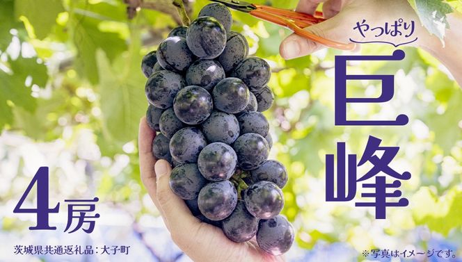 y錧vsz S[ y2026N7{Jnz(錧ʕԗiFq) Ԃǂ  uhE t[c ʕ XC[c