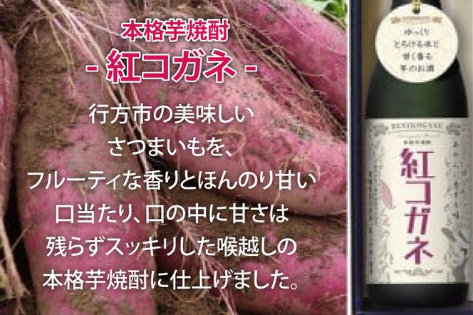 【『行方かんしょ』入り】JA　季節の野菜＆芋焼酎（AE-5）