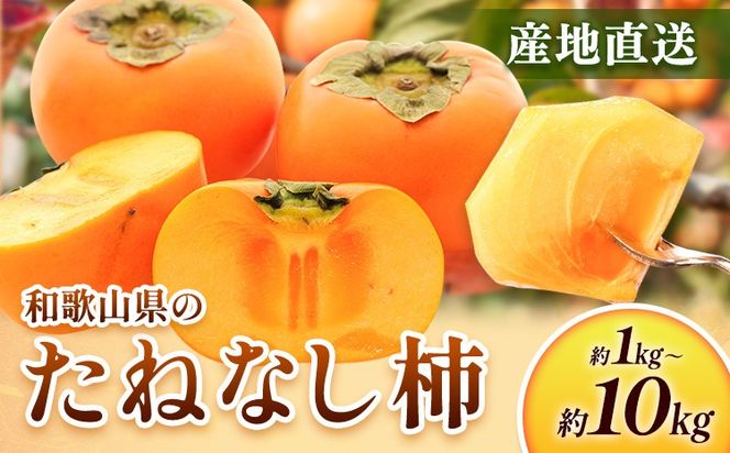 ＜10月より発送＞たねなし柿 選べる 約1kg 約2.5kg 約5kg 約7.5kg 約10kg 刀根早生 平核無柿 ひらたねなしかき 池田鹿蔵農園《10月上旬-12月上旬頃出荷》 和歌山県 日高町 柿 カキ かき たねなし ジューシー フルーツ 種無柿 種無し柿 種なし柿 無核柿---wsh_idn366_10j12j_26_8000_1kg---
