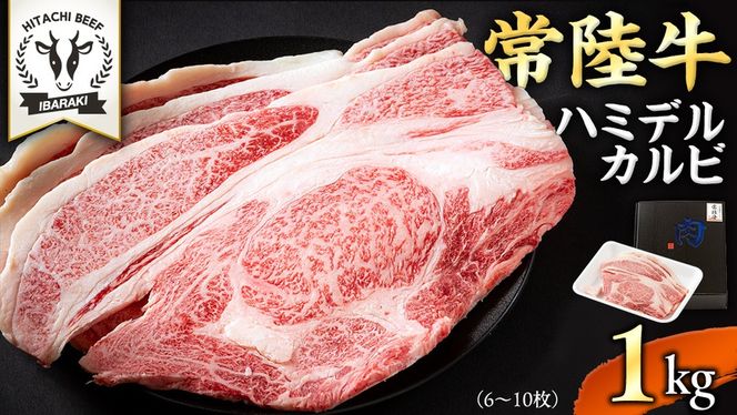 【 常陸牛 】A5 等級 ハミデルカルビ 1kg (6～10枚) ひたちぎゅう ブランド牛 カルビ 国産牛 黒毛和牛 和牛 国産黒毛和牛 お肉 A5ランク 高級 BBQ パーティ [BX128-NT]