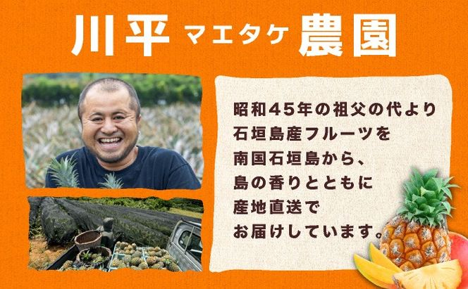 【2026年7月以降順次発送】川平パイン お徳用訳あり4kg ( 品種・玉数・サイズお任せ ) KN-6