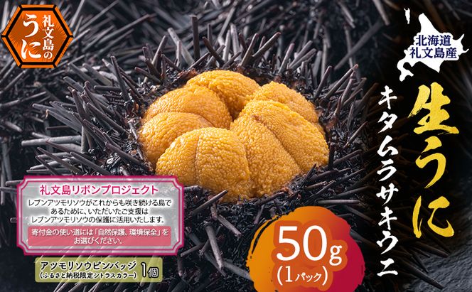 【礼文島リボンプロジェクト】北海道 礼文島産 採れたて ミョウバン不使用 キタムラサキウニ 塩水パック 50g×1個(ピンバッジ付)［株式会社やまじょう］【 うに ウニ 雲丹 生うに 塩水うに 自然保護 寄付 海鮮 】