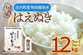 【令和8年産】特別栽培米 はえぬき 無洗米 12kg 5kg×2袋 2kg×1袋 庄内町産 余目産 余目町農協 あまるめ ブランド米 米 国産 単一原料米 山形 庄内平野