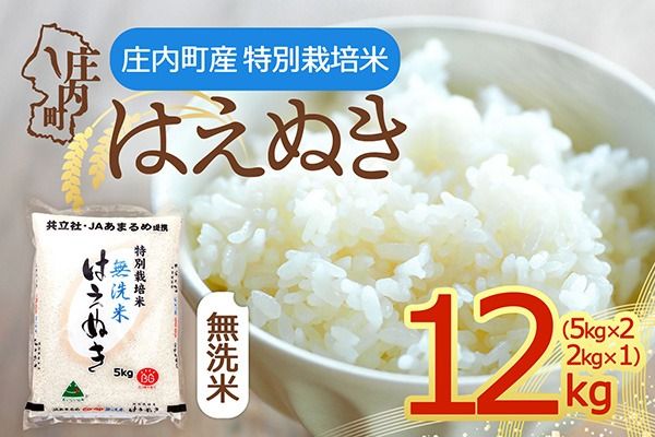 【令和8年産】特別栽培米 はえぬき 無洗米 12kg 5kg×2袋 2kg×1袋 庄内町産 余目産 余目町農協 あまるめ ブランド米 米 国産 単一原料米 山形 庄内平野