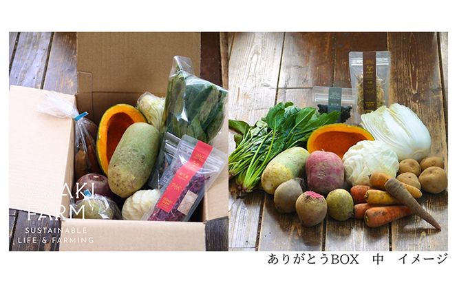 旬の野菜詰め合わせ ～ありがとうBOX2026・中～ 12月1日～1月31日頃お届け 先行予約 北海道 野菜 やさい 詰め合わせ セット 北海道産 常備菜 加工品 自然栽培 佐々木ファーム 産地直送 洞爺湖町