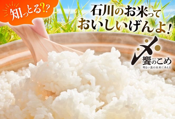 米 定期便 石川米こしひかり【穂立】5kg×3回 総計15kg [中橋商事 石川県 宝達志水町 38601207] コシヒカリ お米 コメ 3ヶ月 白米 精米 おこめ こめ 能登 5kg 5キロ