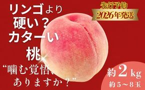 FB040 【2026年　先行予約】日本一の産地山梨県産　朝採れカターい桃２Kg（5～8玉）
