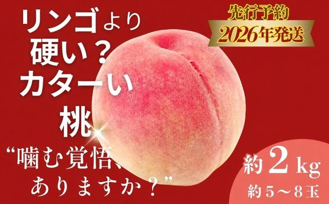 FB040 【2026年　先行予約】日本一の産地山梨県産　朝採れカターい桃 約２Kg（5～8玉）