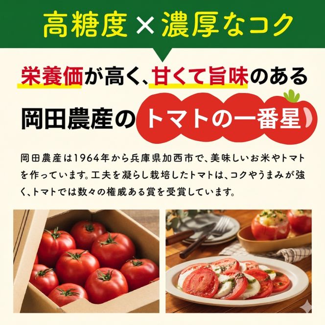 トマト 4kg トマトの一番星 野菜 とまと 完熟 高糖度 甘い 受賞 冷蔵配送