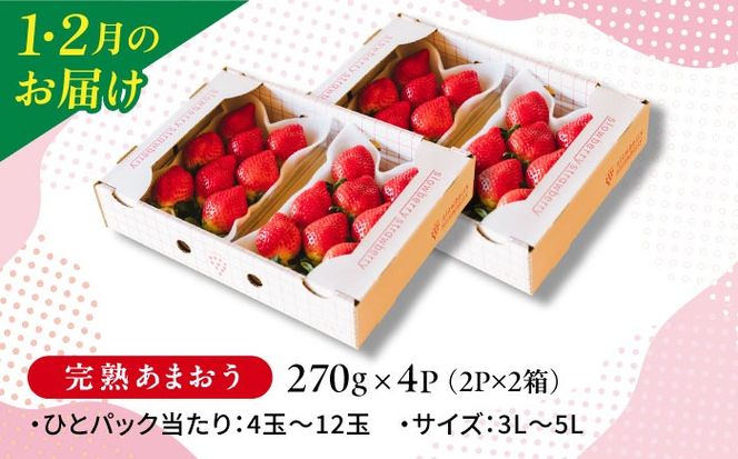 【先行受付】【全5回定期便】糸島産あまおうお楽しみ定期便 あまおう4パック×2回 / あまおうジャム3本 / 冷凍あまおう1kg【2027年1月以降順次発送】 糸島市　/ slowberry strawberry [APJ007]