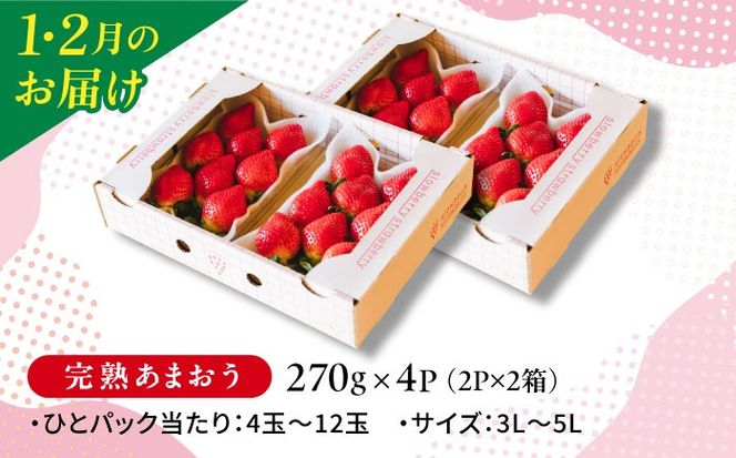 【全5回定期便】糸島産あまおうお楽しみ定期便 あまおう4パック×2回 / あまおうジャム3本 / 冷凍あまおう1kg×2回 糸島市　/ slowberry strawberry[APJ007]