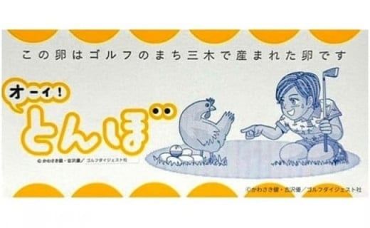 【オーイ！とんぼ×松田養鶏場コラボパッケージ】産地直送  松田養鶏場のひょうごの赤たまご60個（50個+割れ補償10個）