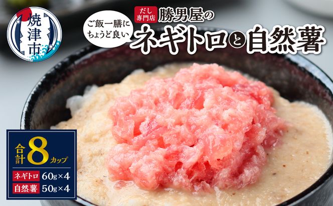 a12-224　だし専門店「勝男屋」の一膳とろトロ 自然薯・ネギトロセット