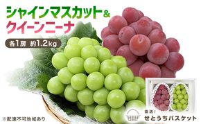 ぶどう 2027年 先行予約 シャインマスカット ＆ クイーンニーナ 各1房 約1.2kg ブドウ 葡萄 岡山県産 国産 フルーツ 果物 直送！せとうちバスケット