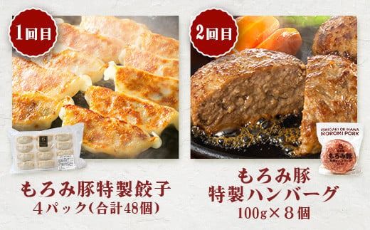 定期便 12回配送 もろみ豚 バラエティ定期便 【 沖縄 石垣 12ヵ月 精肉 細切れ こま切れ 小間切れ 切り落とし ミンチ ハンバーグ メンチカツ 餃子 豚肉 肉 惣菜 総菜 定期 頒布会 みそ漬け 味噌漬け おかず 】AH-23-1