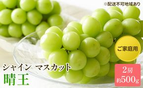 ぶどう 2026年 先行予約 ご家庭用 シャイン マスカット 晴王 約500g×2房 ブドウ 葡萄  岡山県産 国産 フルーツ 果物 太陽 美しい 外観 大粒 高糖度 種なし 皮ごと 弾力 食感 美味しい 