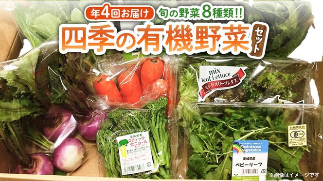 【 定期便 年4回お届け！】四季の 有機野菜 色とりどりセット 野菜 野菜セット 詰め合わせ 有機 無農薬 JAS認定 無化学肥料 おまかせ 野菜スティック レインボーフューチャー [AL001ci]