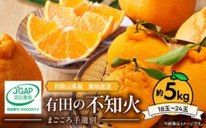 ZE6377n_有田の不知火(しらぬひ) 5kg　18～24玉　（M～2Lサイズ）まごころ手選別