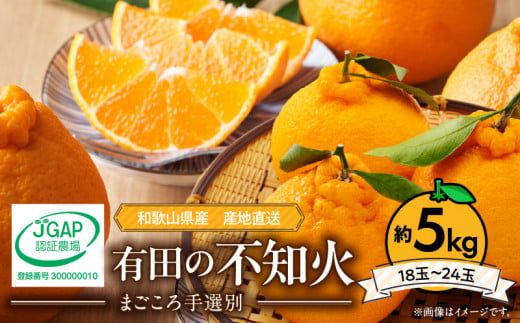 ZE6377n_有田の不知火(しらぬひ) 5kg　18～24玉　（M～2Lサイズ）まごころ手選別