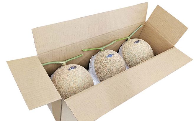 クラウンメロン【上（山等級）】特大玉（1.5kg前後）3玉入り 人気 厳選 ギフト 贈り物 デザート グルメ 果物 袋井市 果物類 メロン青肉 フルーツ