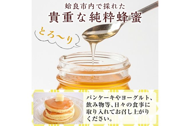 a686 国産！純粋はちみつ(600g)【神谷養蜂】