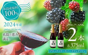 2024年産 糸島産ブラックベリースパークリングワイン 375ml 2本セット / 糸島市 / HYM FARM / お酒 赤ワイン[AHM003] ワイン ブラックベリー 贈り物 375ml 糸島 果実酒 赤ワイン フルーツ
