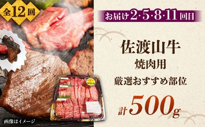 【全12回定期便】沖縄ブランド牛を堪能！贅沢お肉定期便【沖縄市】牛肉 和牛 サーロインステーキ 焼肉 赤身 沖縄市 / 肉のサブロー / お肉屋本店[BCZZ029]