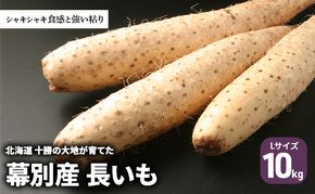 北海道 十勝の大地が育てたシャキシャキ食感と強い粘り 幕別産 長いも Lサイズ 10kg［木川商店］【 長いも 長芋 ながいも ナガイモ とろろ 芋 いも 野菜 10kg 5kg  産地直送 旬 濃厚 北海道 十勝 幕別 】 
