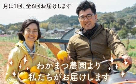 【全6回定期便】【 植物 由来 】万能 濃縮 甘夏 みかん 洗剤 糸島市 / わかまつ農園 [AHB018]