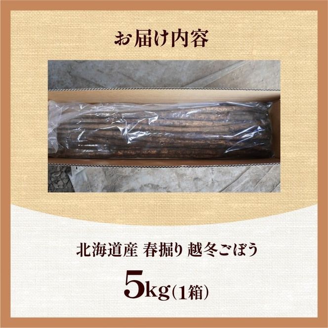 先行受付！2026年4月頃～発送開始！北海道十勝清水町産 春堀り 新鮮 越冬ごぼう！ 5kg 北海道産 ごぼう 土付ごぼう ゴボウ 根菜_S045-0001