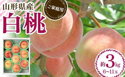 FYN6-073 ≪2026年先行予約≫ ご家庭用 山形県産 品種おまかせ 白桃 約3kg（6～11玉） 2026年8月中旬から順次発送 柔らかくなる桃 はくとう 桃 もも モモ 果物 くだもの 夏果実 フルーツ 訳あり 農業者支援 家庭用 自宅用 産地直送 山形県 西川町 月山