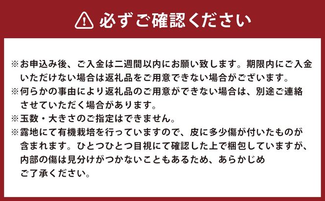 特別栽培 みかん 約3kg 柑橘 果物 フルーツ 果実 果汁 果肉 国産 熊本県産 旬 【 2026年12月下旬～2027年1月下旬発送予定 】