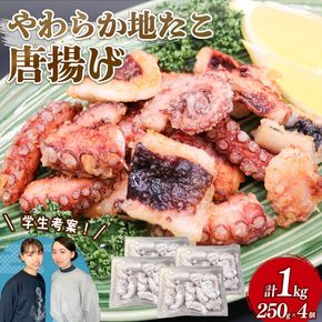 やわらか 地たこ 唐揚げ 250g×4 (計1kg) カット済み ヤナギダコ 冷凍 [sankou002]