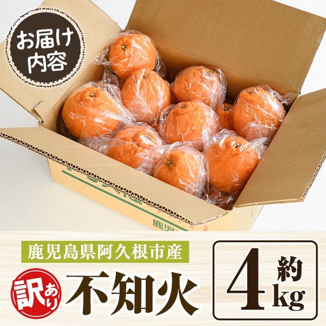 訳あり！露地栽培の不知火(4kg) 国産 不知火 しらぬい 柑橘 果物 フルーツ デザート 露地 果実 期間限定 数量限定【古田果樹園】akn093-03