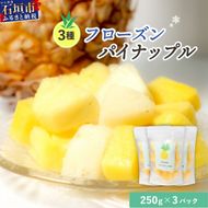 先行予約＜2026年6月より順次発送＞贅沢3種フローズンパイナップル 3パック【 沖縄県 石垣市 果物 パイナップル 冷凍 パイン フローズン 送料無料 】 EF-5