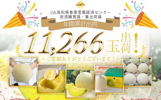 メロン 定期便 1玉 ２回 夜須のエメラルド テレビ朝日「ザワつく!金曜日」で特集 紹介 くだもの フルーツ ギフト マスクメロン 青肉 ブランド ギフト 贈答用 ご褒美 高級 1個 お礼 御祝 産地直送 JA 高知県農業協同組合 香南市 常温 Wyu-0029