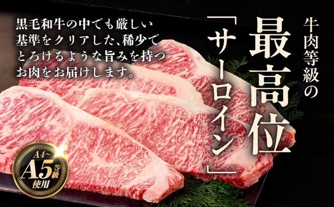 G3645-2 A5/A4ランク 黒毛和牛 サーロインステーキカット 合計6kg（250g×24P） + 圧倒的企業努力 サーロインステーキ 250g【極味付け肉】