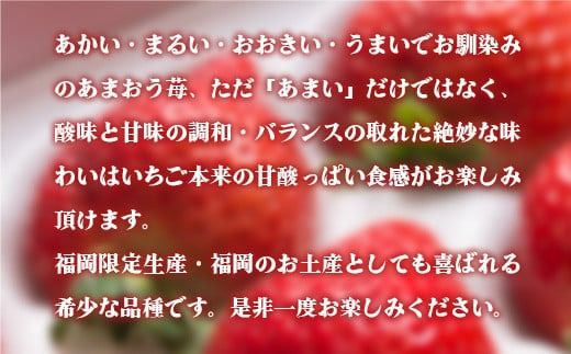 いちご あまおう 福岡産あまおう 24〜30粒 【期間限定発送】 [南国フルーツ 福岡県 宇美町 um40azo970008] 先行予約 イチゴ 苺 フルーツ 果物 果実 甘い 小分け あまい