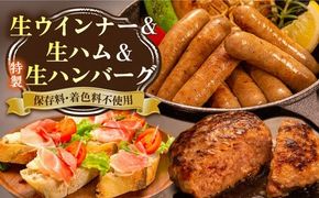 特製 生ハンバーグ 生ハム 生ウインナー 3種 セット 糸島市 / 志摩スモークハウス [AOA028] 肉 加工品